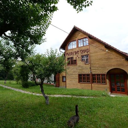 Pensiunea Flori De Camp Vatra Dornei Luaran gambar