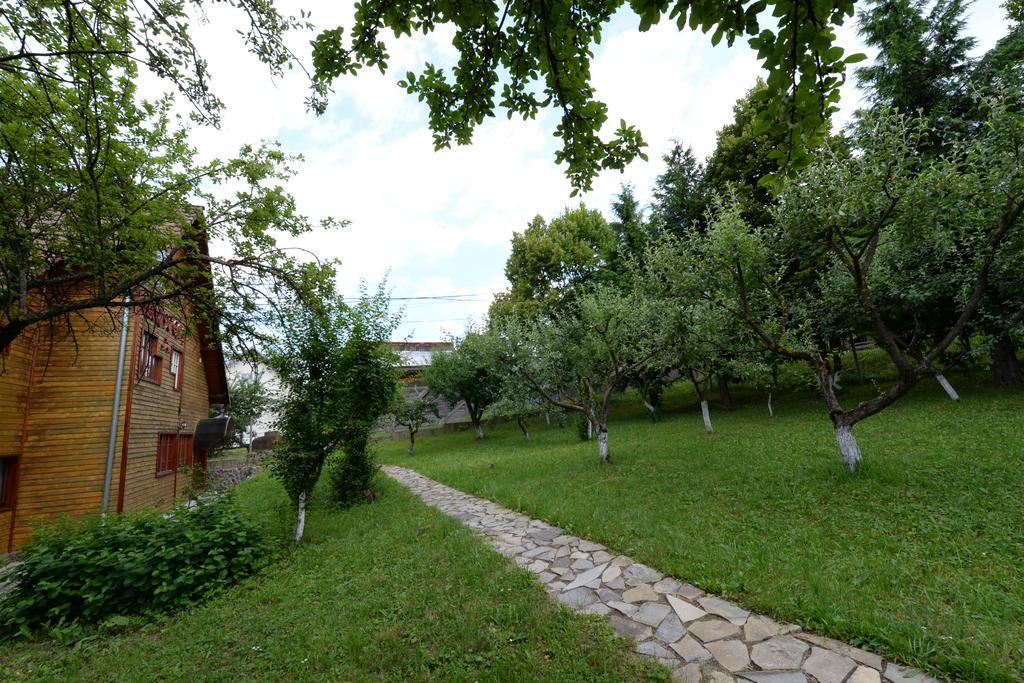 Pensiunea Flori De Camp Vatra Dornei Luaran gambar