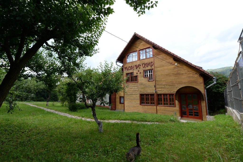Pensiunea Flori De Camp Vatra Dornei Luaran gambar