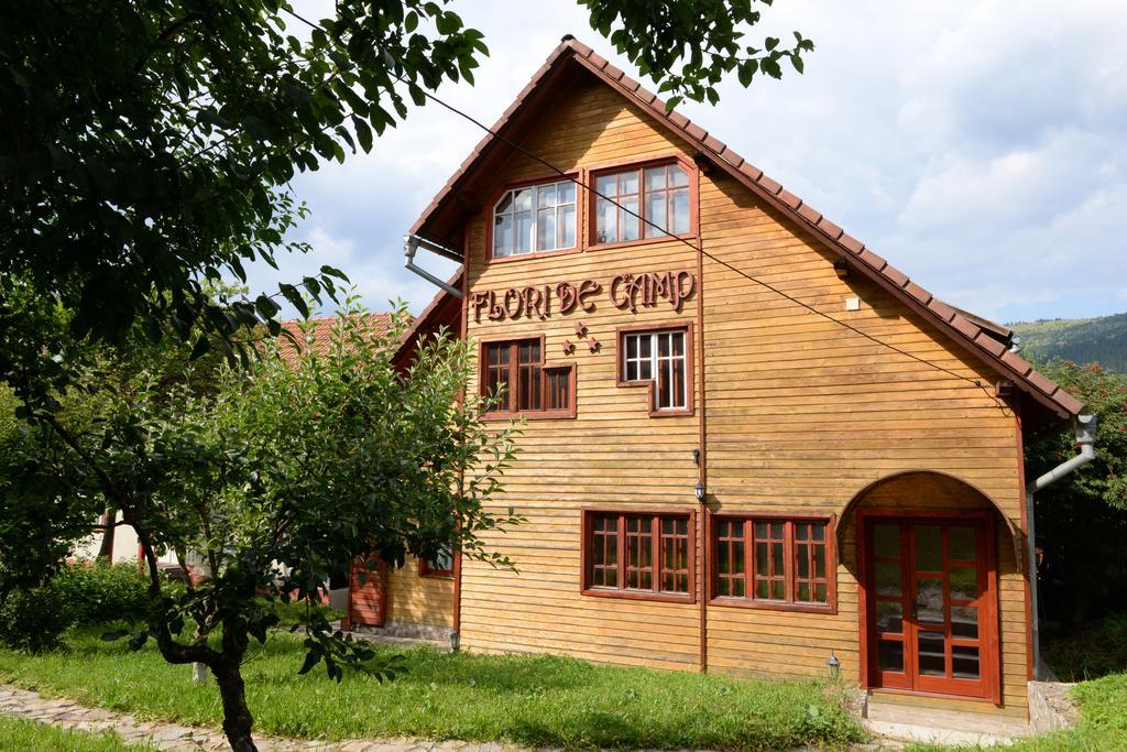 Pensiunea Flori De Camp Vatra Dornei Luaran gambar