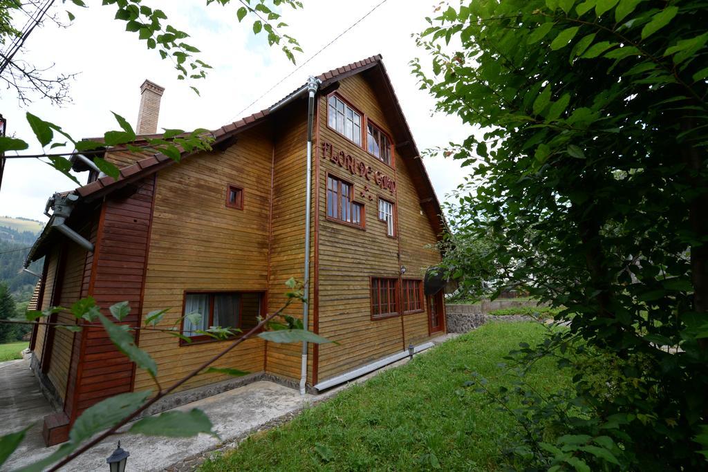 Pensiunea Flori De Camp Vatra Dornei Luaran gambar