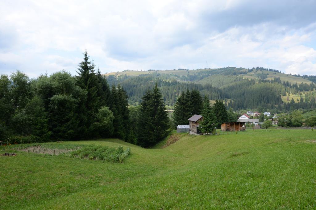 Pensiunea Flori De Camp Vatra Dornei Luaran gambar