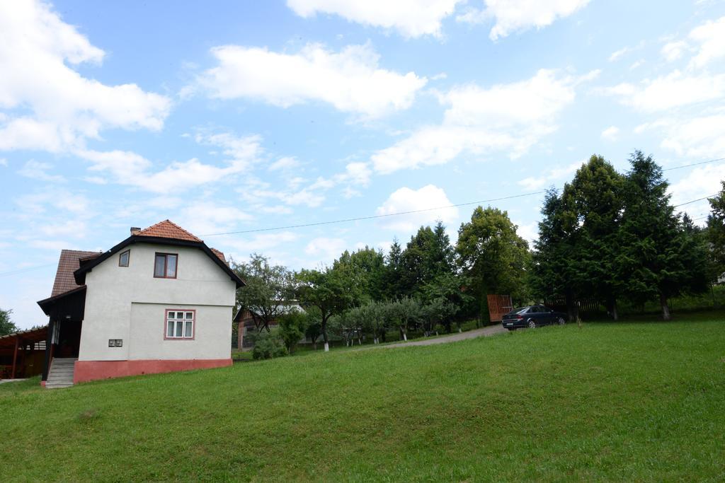 Pensiunea Flori De Camp Vatra Dornei Luaran gambar