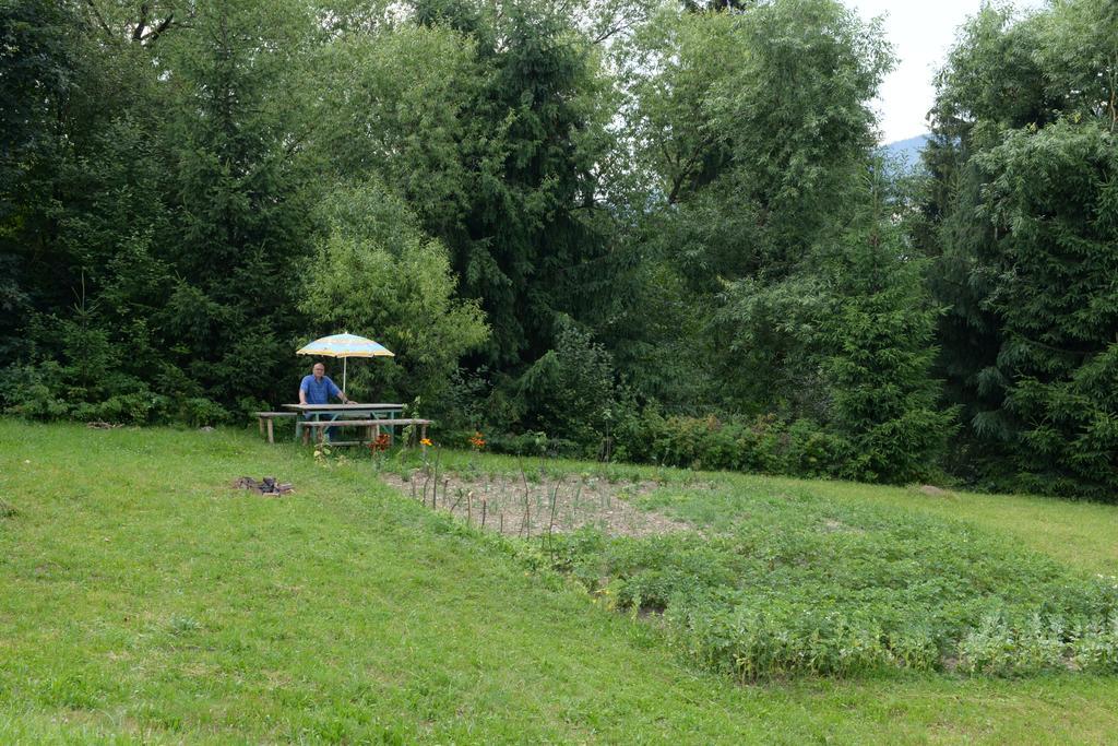 Pensiunea Flori De Camp Vatra Dornei Luaran gambar