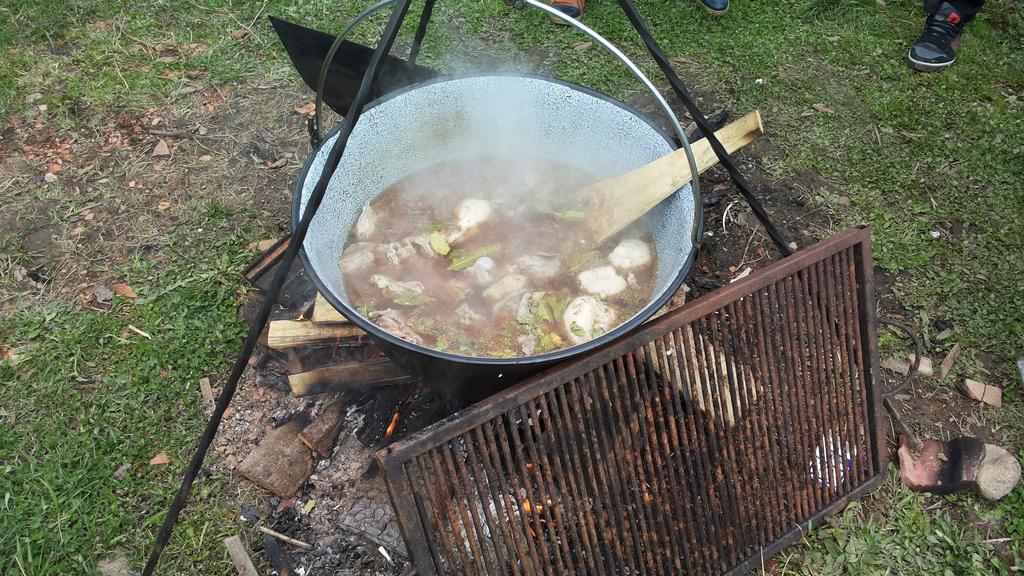 Pensiunea Flori De Camp Vatra Dornei Luaran gambar