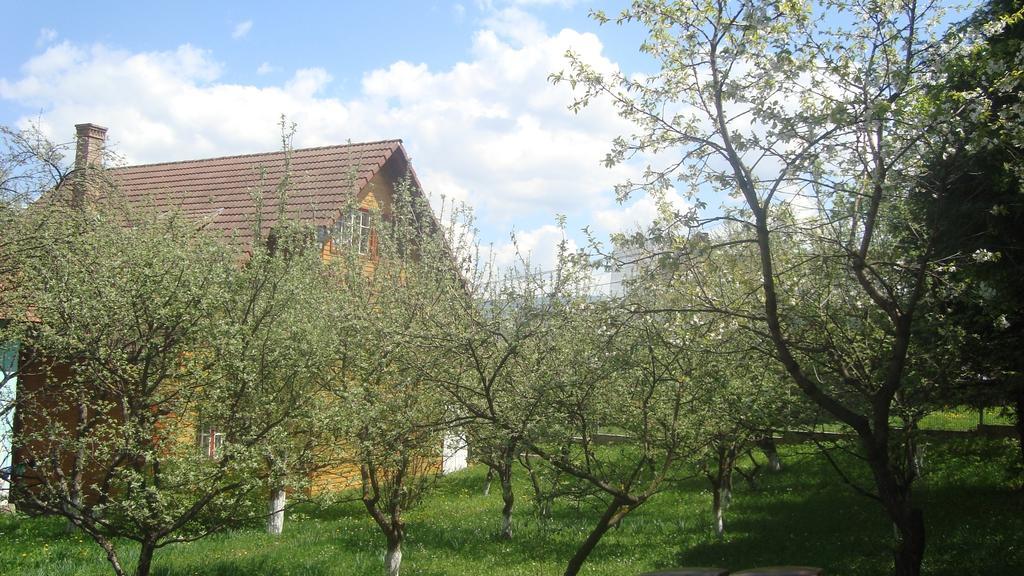 Pensiunea Flori De Camp Vatra Dornei Luaran gambar