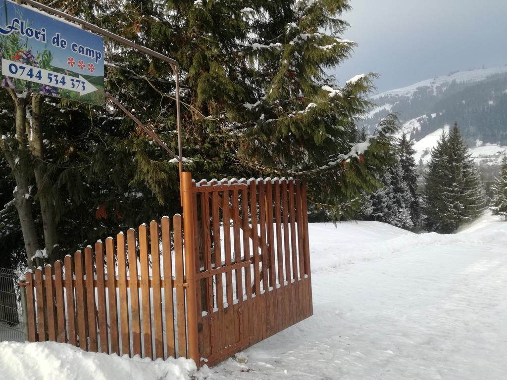 Pensiunea Flori De Camp Vatra Dornei Luaran gambar