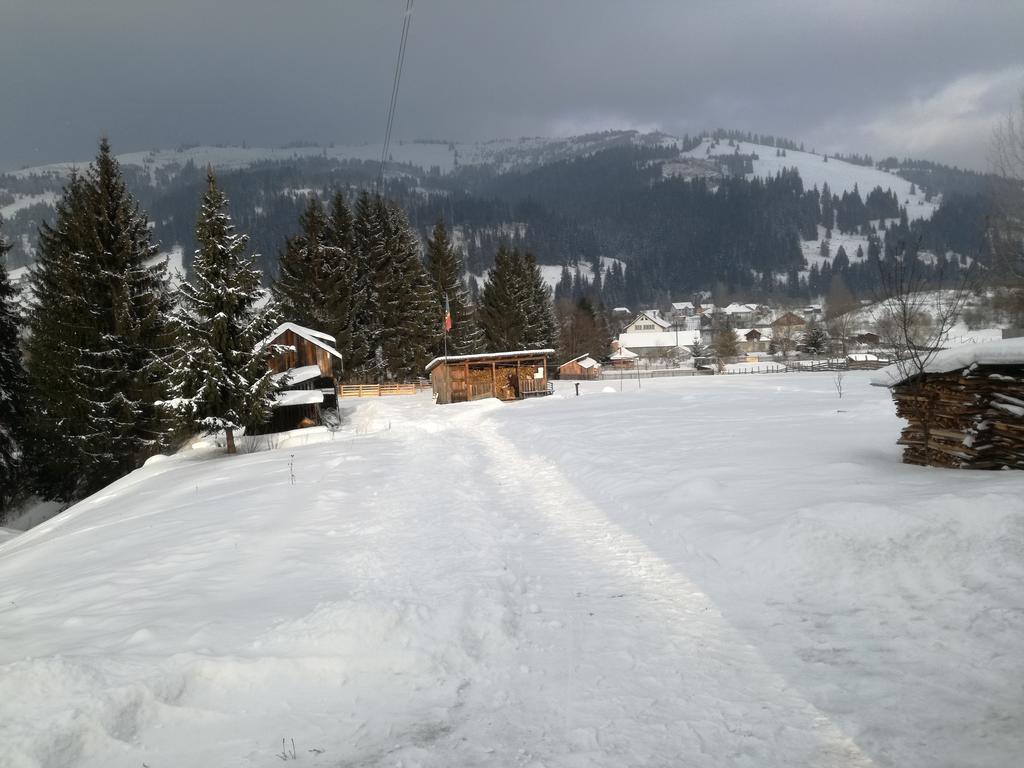 Pensiunea Flori De Camp Vatra Dornei Luaran gambar