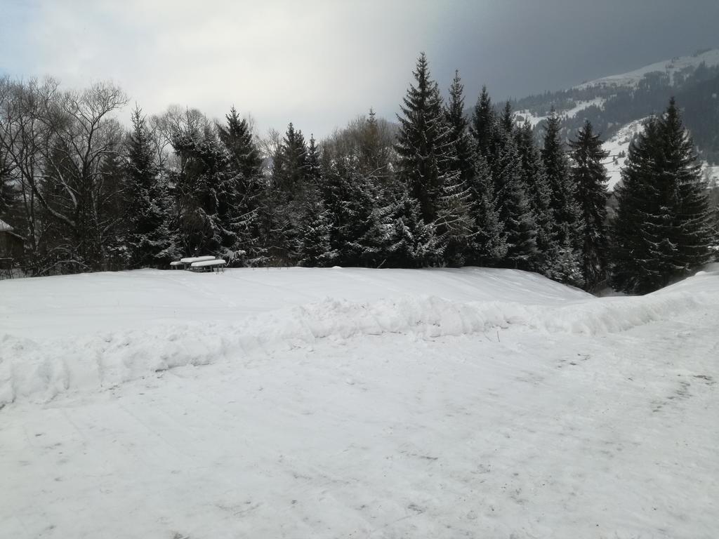 Pensiunea Flori De Camp Vatra Dornei Luaran gambar