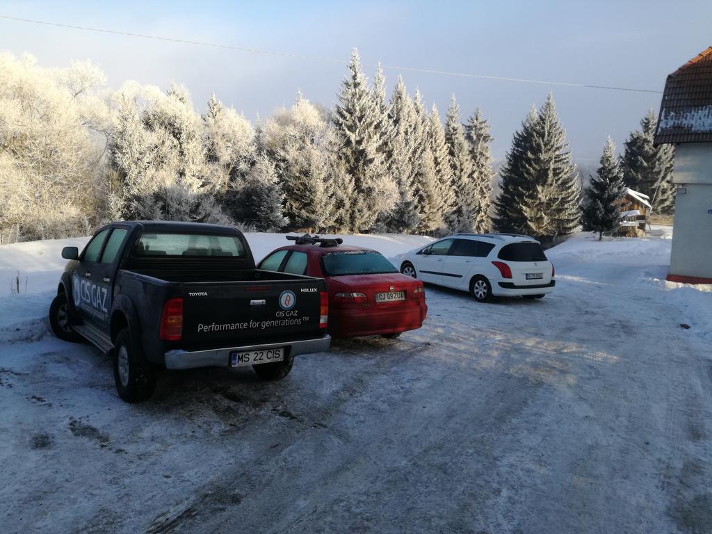 Pensiunea Flori De Camp Vatra Dornei Luaran gambar