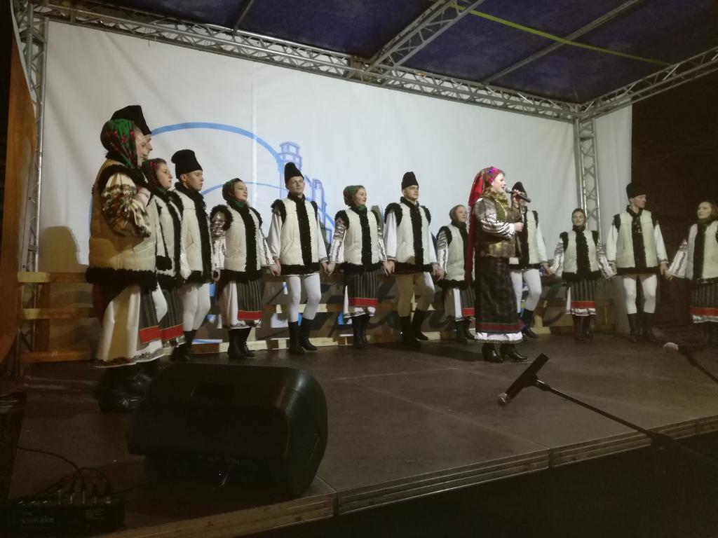 Pensiunea Flori De Camp Vatra Dornei Luaran gambar